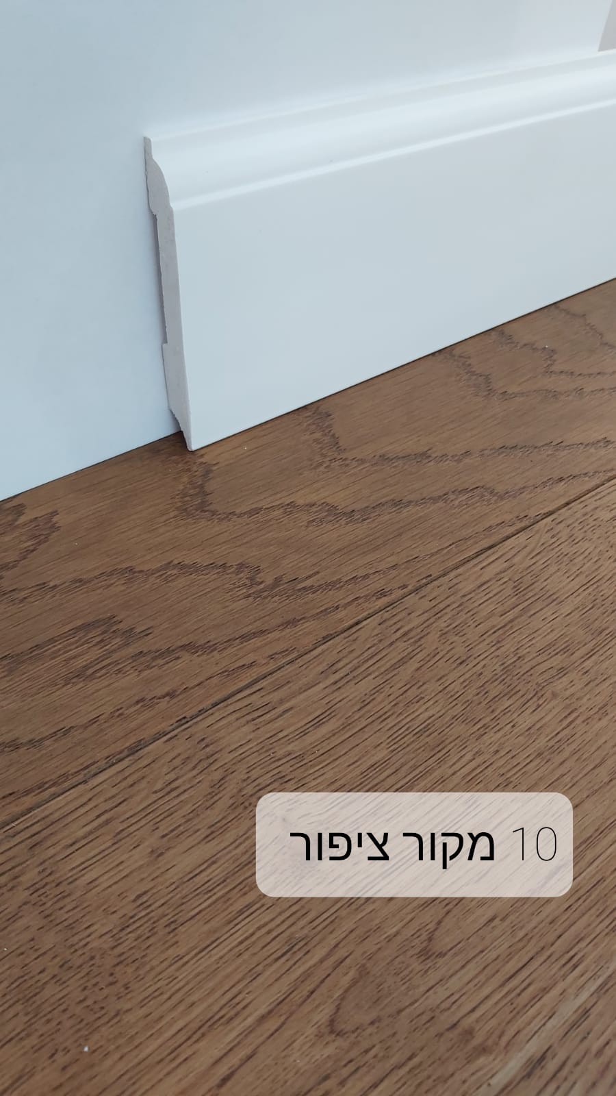 מקור ציפור 10 ס"מ
