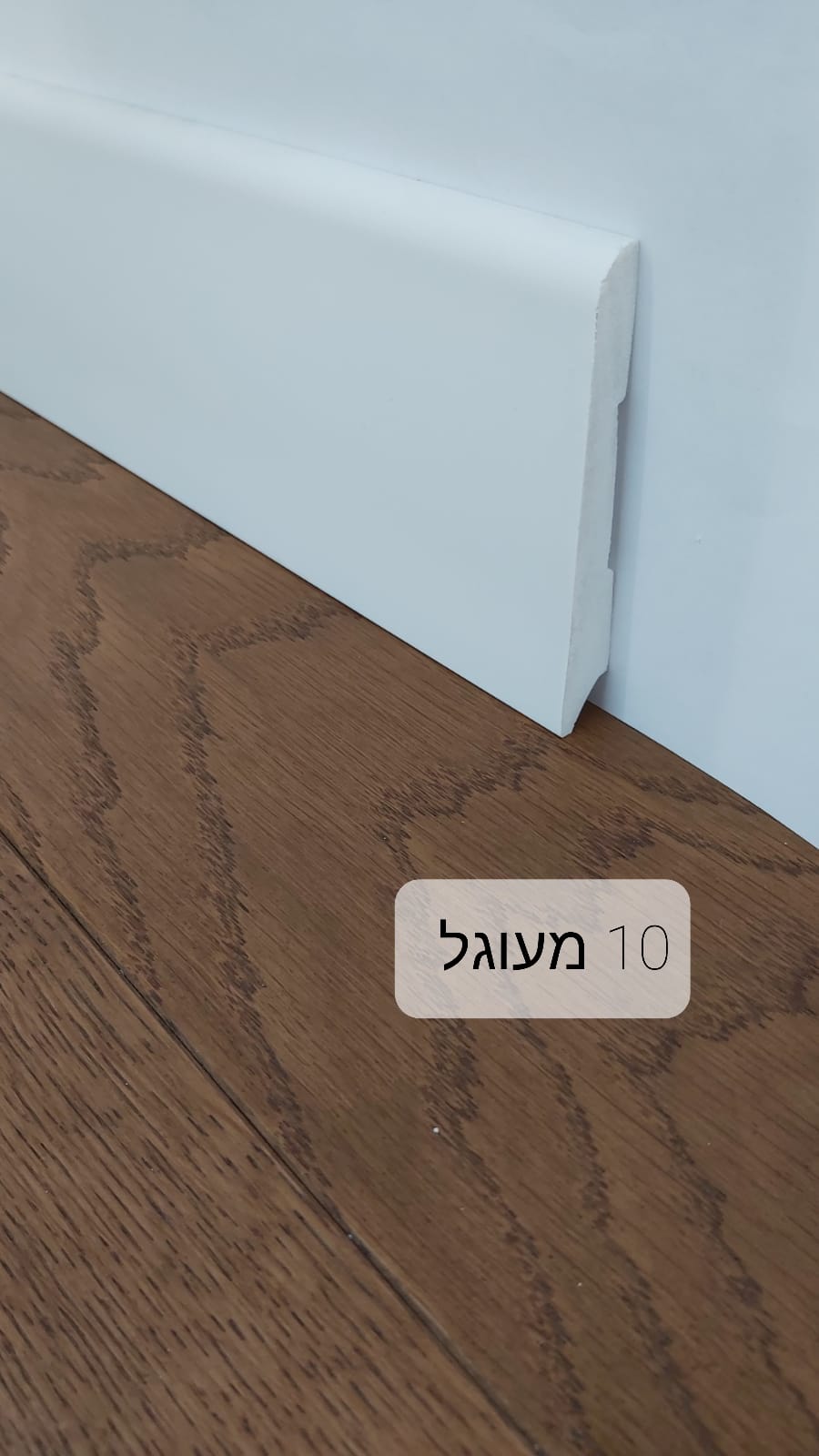 עגול 10 ס"מ