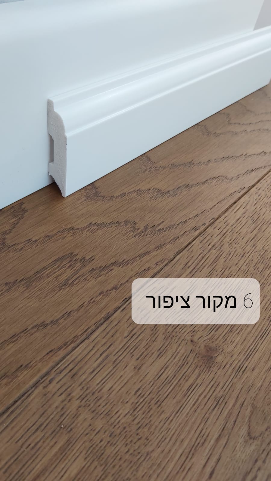 מקור ציפור 6 ס"מ