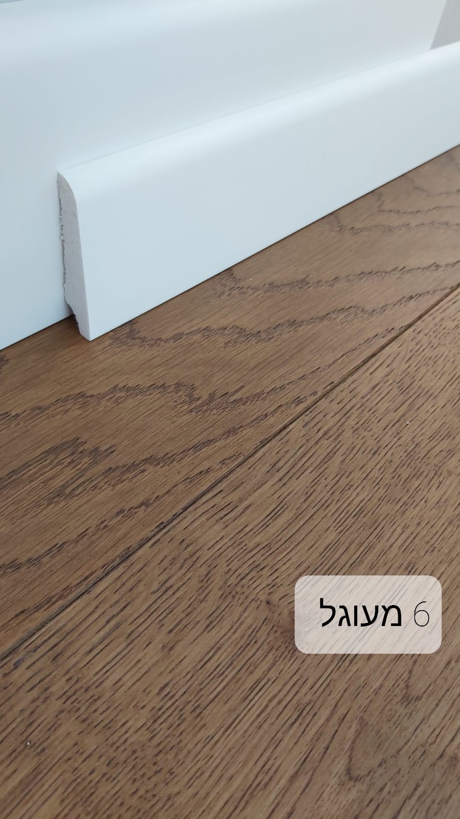 עגול 6 ס"מ