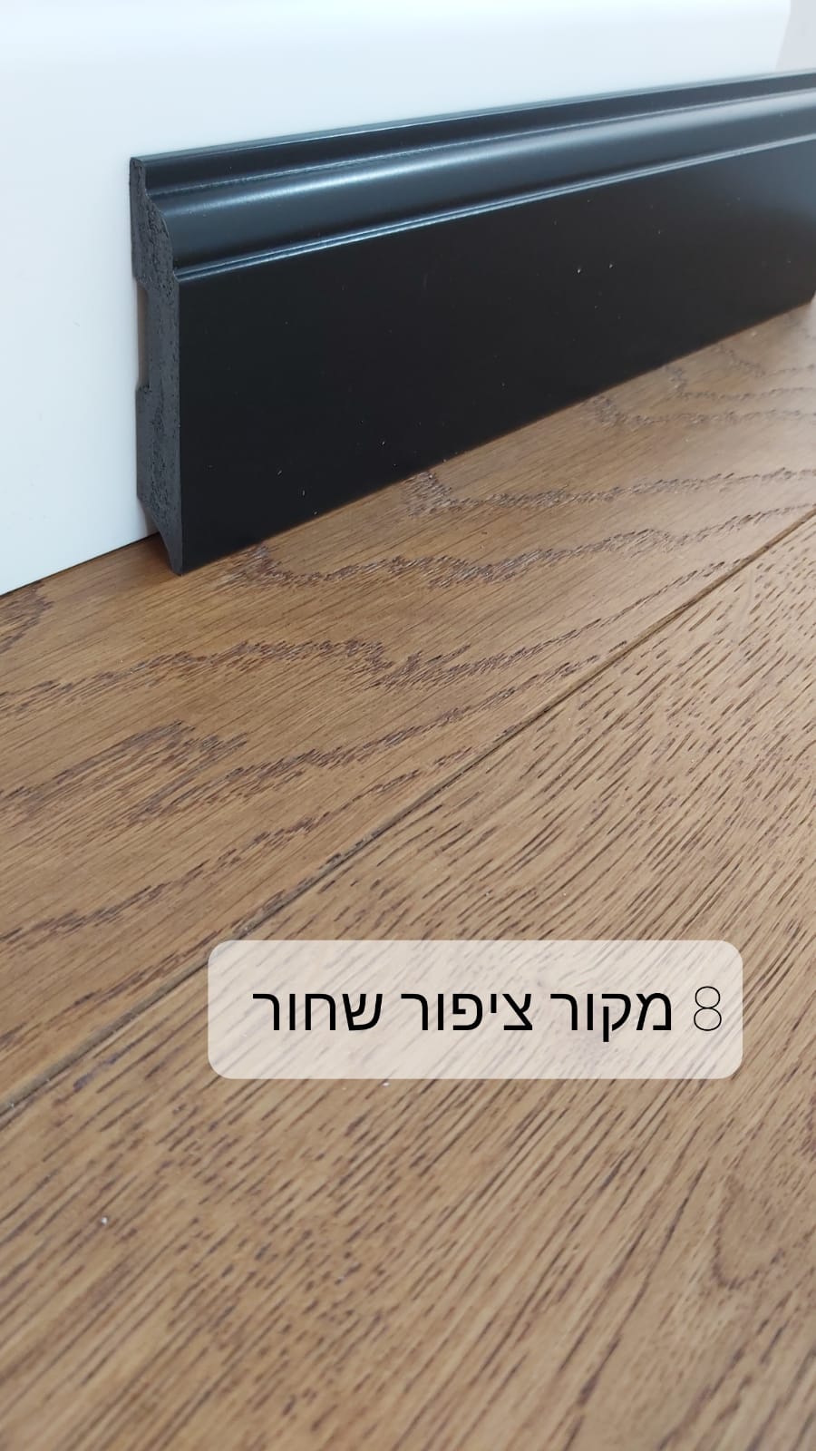 מקור ציפור שחור 8 ס"מ