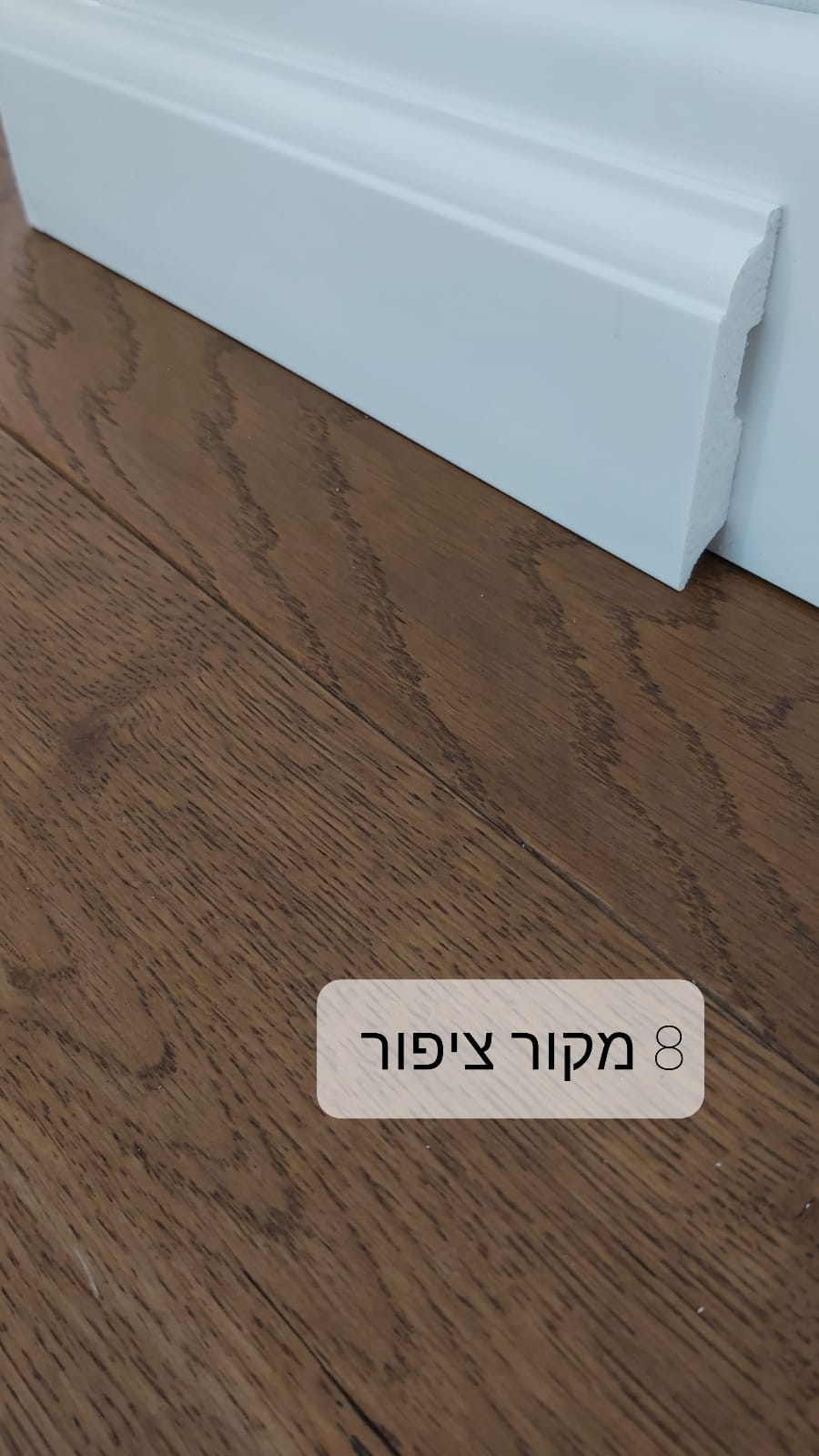 מקור ציפור 8 ס"מ