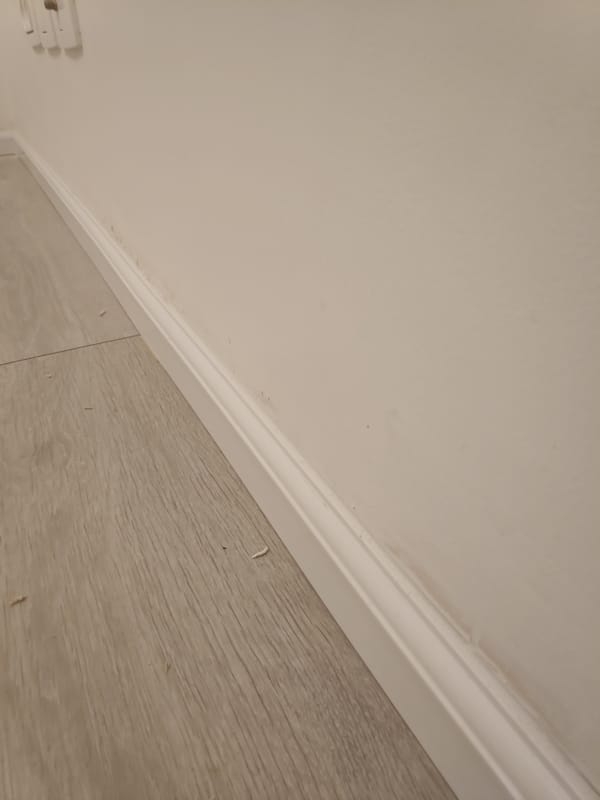 IMG 20220201 181758 1 1